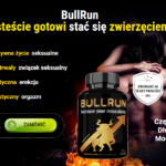 BullRun PL