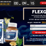 Flexgo 2