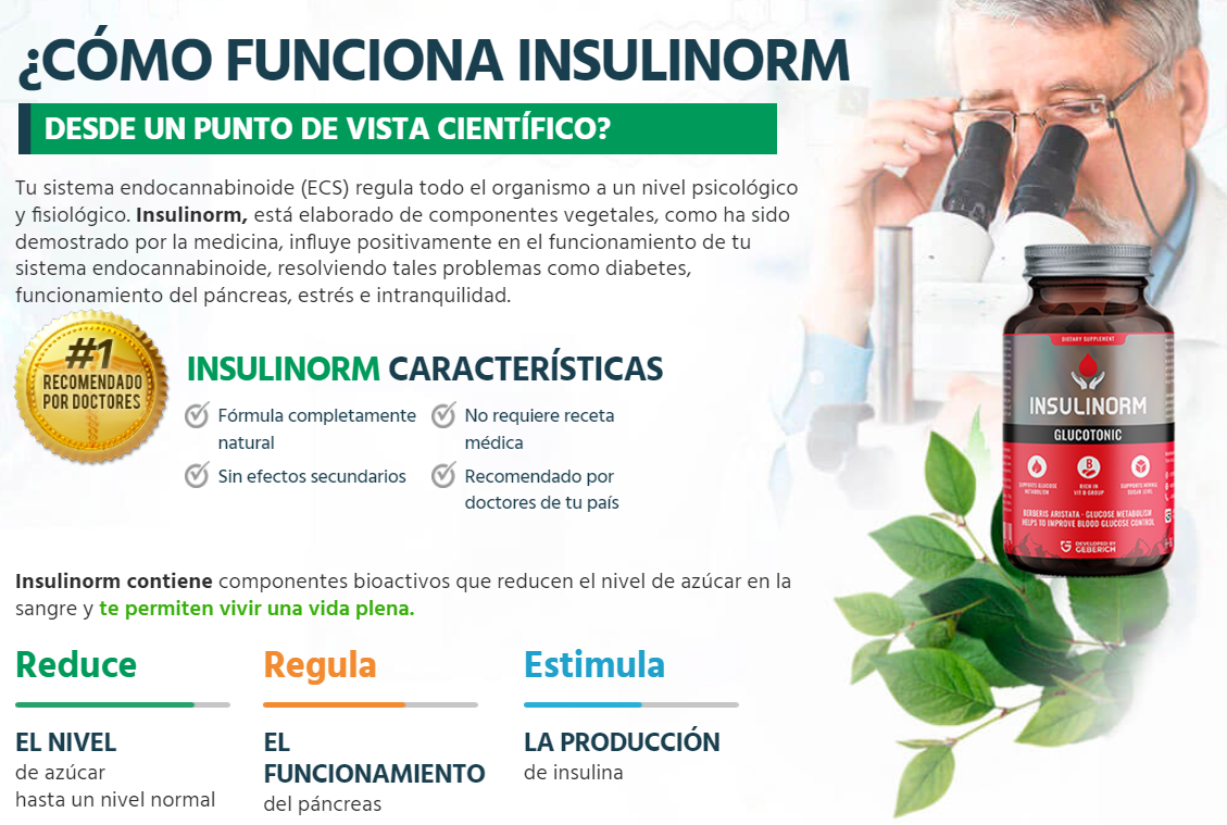 Insulinorm 1